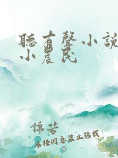 听有声小说至尊小农民