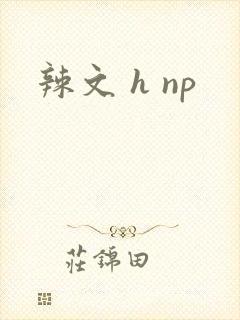 辣文 h np