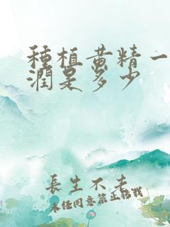 种植黄精一亩利润是多少 种植黄精一亩利润是多少