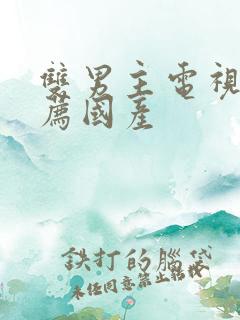 双男主电视剧推荐国产