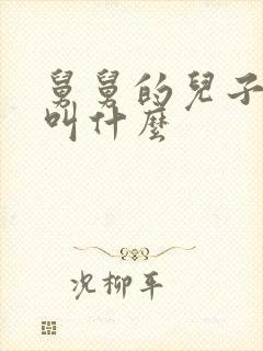 舅舅的儿子管我叫什么