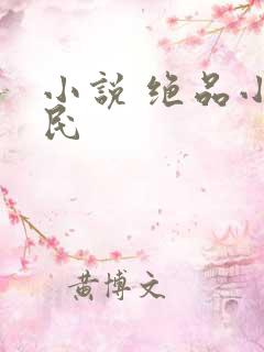 小说 绝品小农民