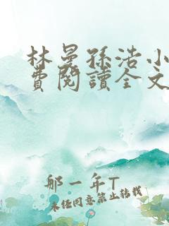 林曼孙浩小说免费阅读全文最新章节