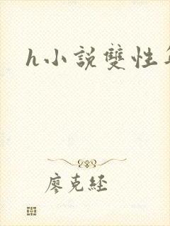 h小说双性年上