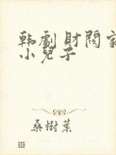 韩剧 财阀家的小儿子