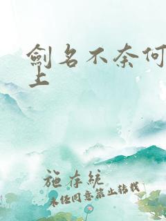 剑名不奈何 淮上