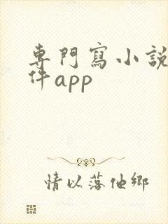 专门写小说的软件app