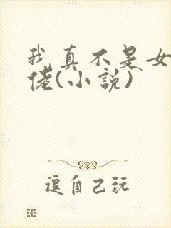 我真不是女装大佬(小说)