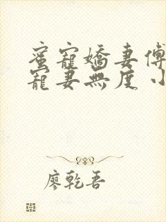 蜜宠娇妻傅先生宠妻无度 小说