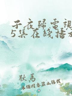 子夜归电视剧35集在线播放