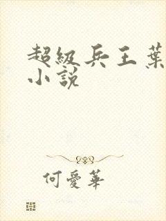 超级兵王叶谦 小说