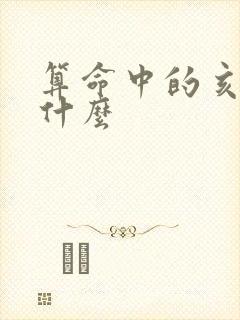 算命中的亥运是什么