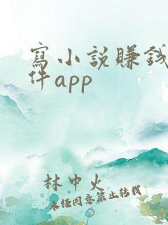 写小说赚钱的软件app