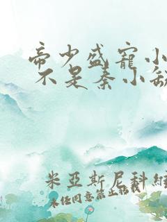 帝少盛宠小娇妻 不是秦小缺