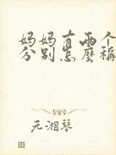 妈妈有两个妹妹分别怎么称呼