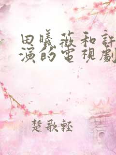 田曦薇和许凯主演的电视剧