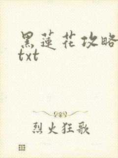 黑莲花攻略手册txt