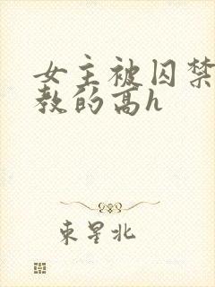 女主被囚禁后调教的高h