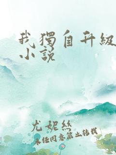 我独自升级原著小说