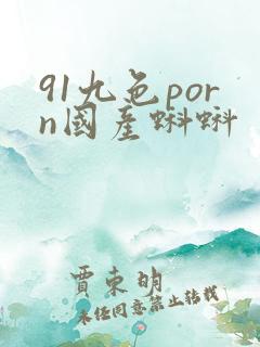 91九色porn国产蝌蚪