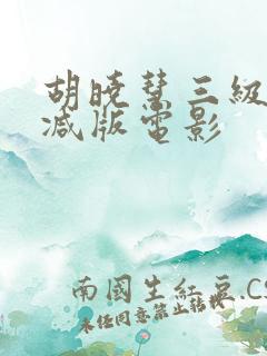 胡晓慧三级无删减版电影