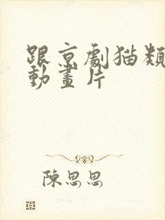 跟京剧猫类似的动画片 跟京剧猫类似的动画片