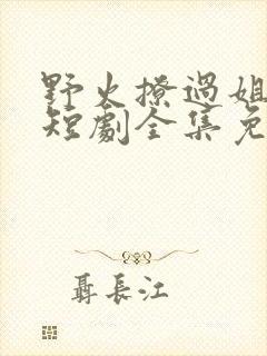 野火撩过姐姐心短剧全集免费观看