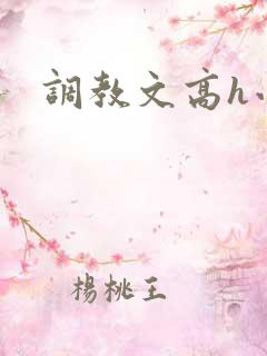 调教文高h小说