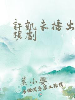 许凯未播出的电视剧
