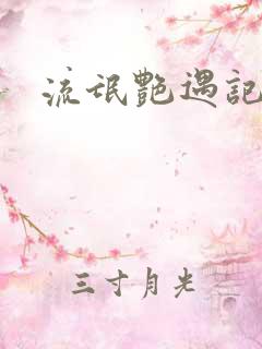 流氓艳遇记有