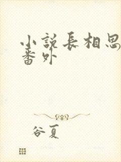 小说长相思相柳番外
