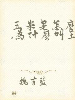 玉米是怎么来的,为什么叫玉米