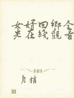 女婿回乡全村风光在线观看短剧