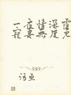 一夜情深霍先生宠妻无度免费