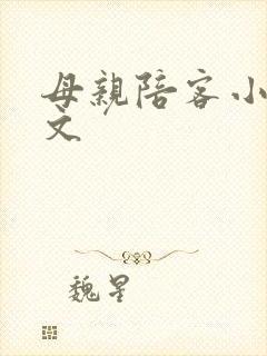 母亲陪客小说全文