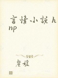 言情小说 h np