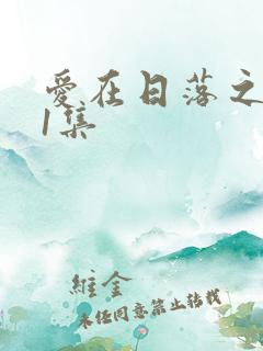 爱在日落之前21集