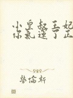 小皇叔王妃又薅你气运了正版