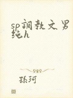 sp调教文男男纯h