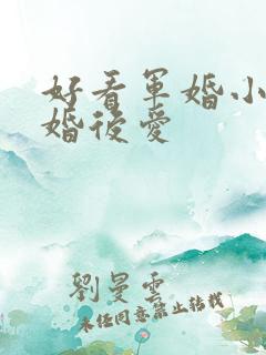 好看军婚小说先婚后爱