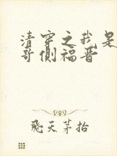 清穿之我是大阿哥侧福晋