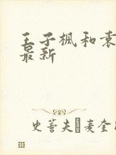 王子枫和袁雯洁最新