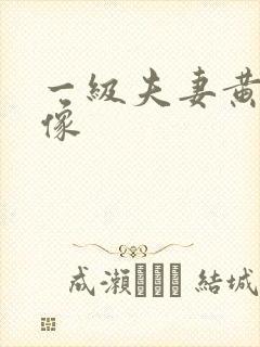 一级夫妻黄色录像
