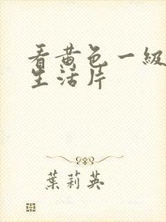 看黄色一级夫妻生活片