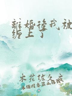 离婚后我被前夫缠上了