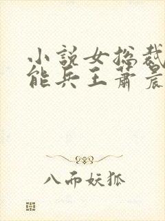 小说女总裁的全能兵王萧晨电子书