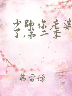 少帅你老婆又跑了,第二季