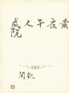 成人午夜黄色影院