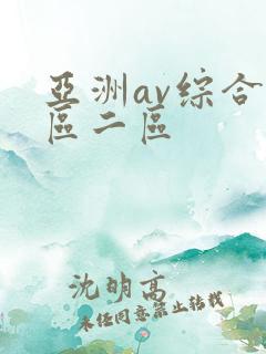 亚洲av综合色区二区