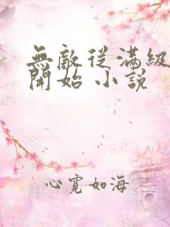 无敌从满级属性开始 小说